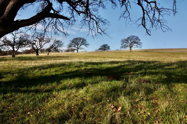 Bangor, CA 95965,0 Dunstone DR