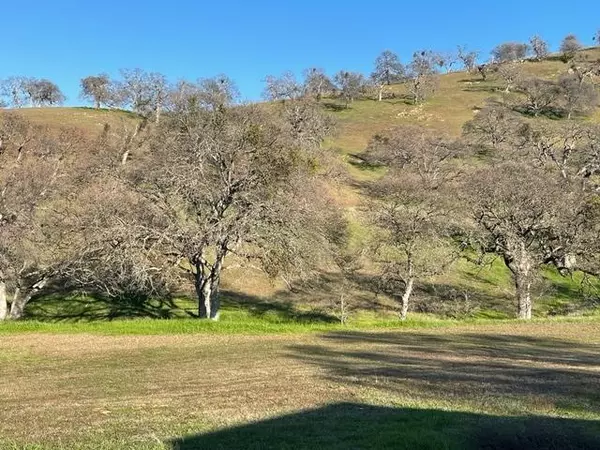 La Grange, CA 95329,10104 Banderilla DR