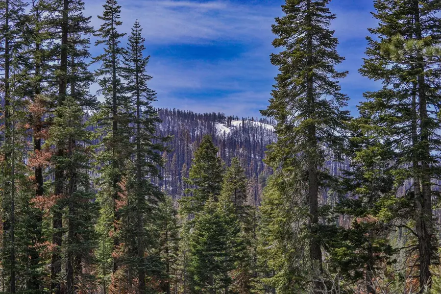 20149 State Hwy 50, Little Norway, CA 96150