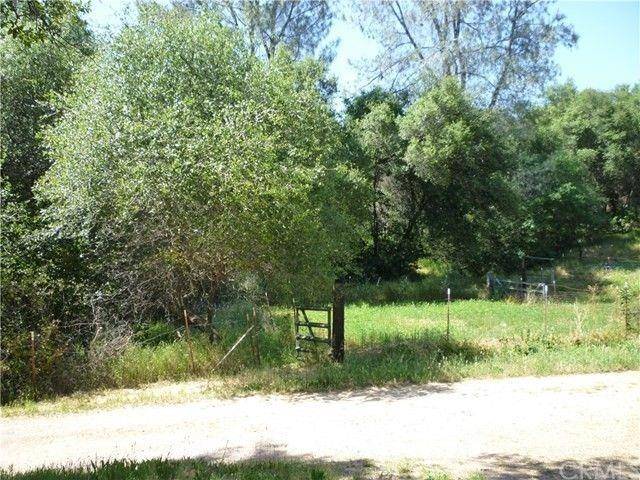 Oroville, CA 95965,15 Lower Gulch RD