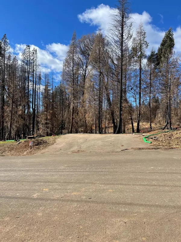 Grizzly Flats, CA 95636,4914 Meadow Glen DR