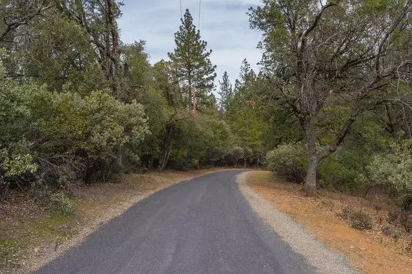 Pine Grove, CA 95665,0 Valley Vista CT