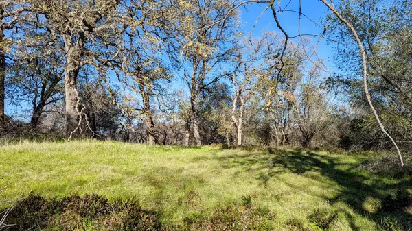 Grass Valley, CA 95949,16424 Beyers LN