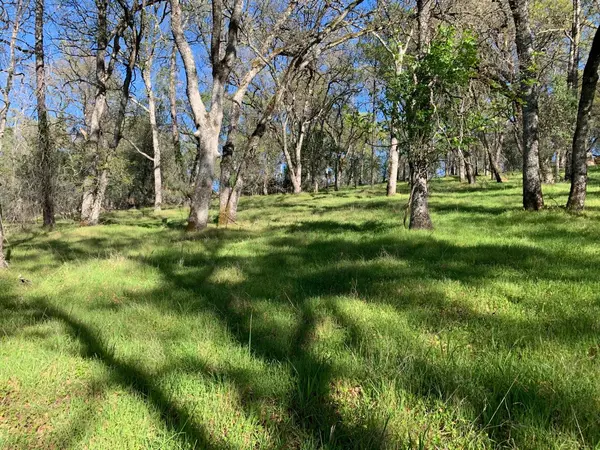 Shingle Springs, CA 95682,Acres Solitude WAY