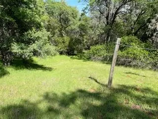 Pilot Hill, CA 95664,Acres Blarney WAY