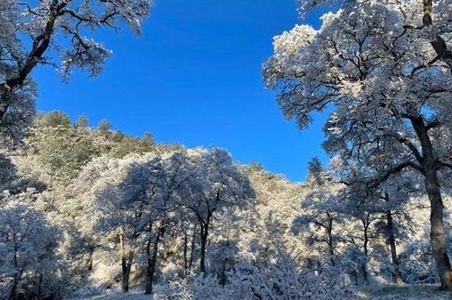 Big Oak Flat, CA 95305,9700 PRIEST COULTERVILLE RD
