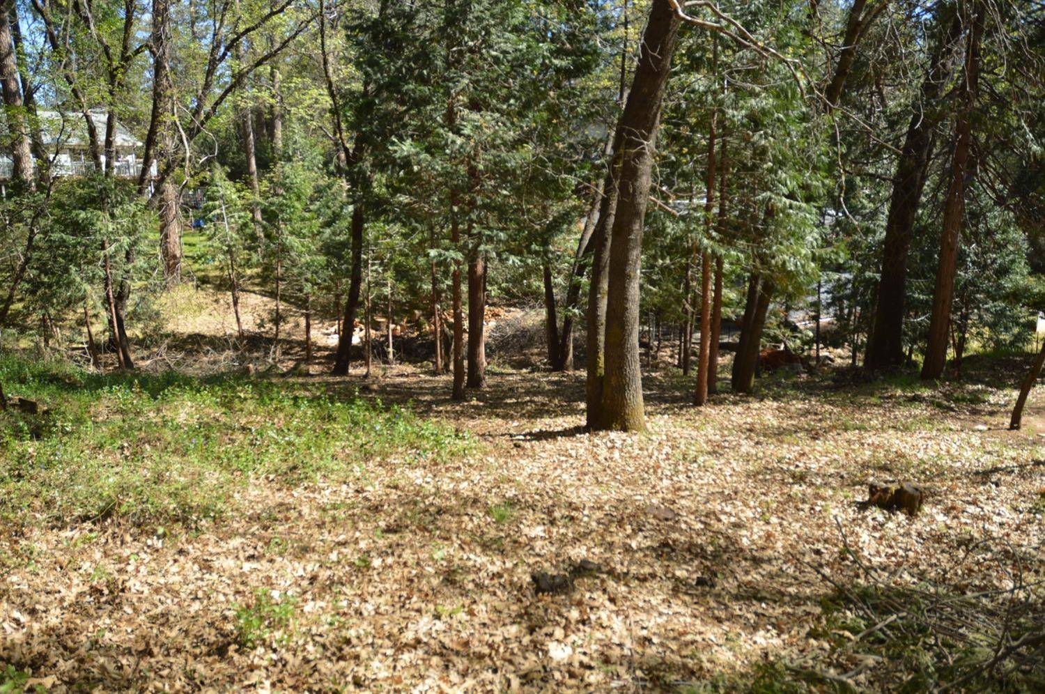 Grass Valley, CA 95949,10847 Henson WAY
