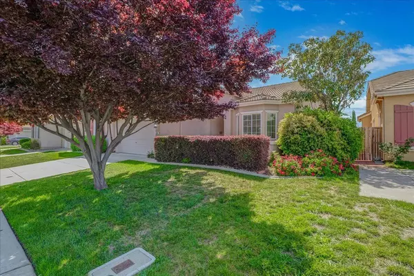 Elk Grove, CA 95624,9353 Oreo Ranch Circle