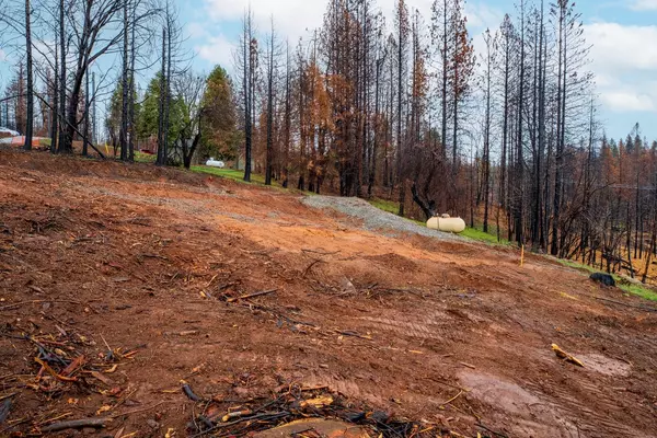 Grizzly Flats, CA 95636,4962 Deertrack CT