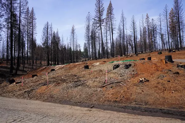 Grizzly Flats, CA 95636,4715 Creekside DR