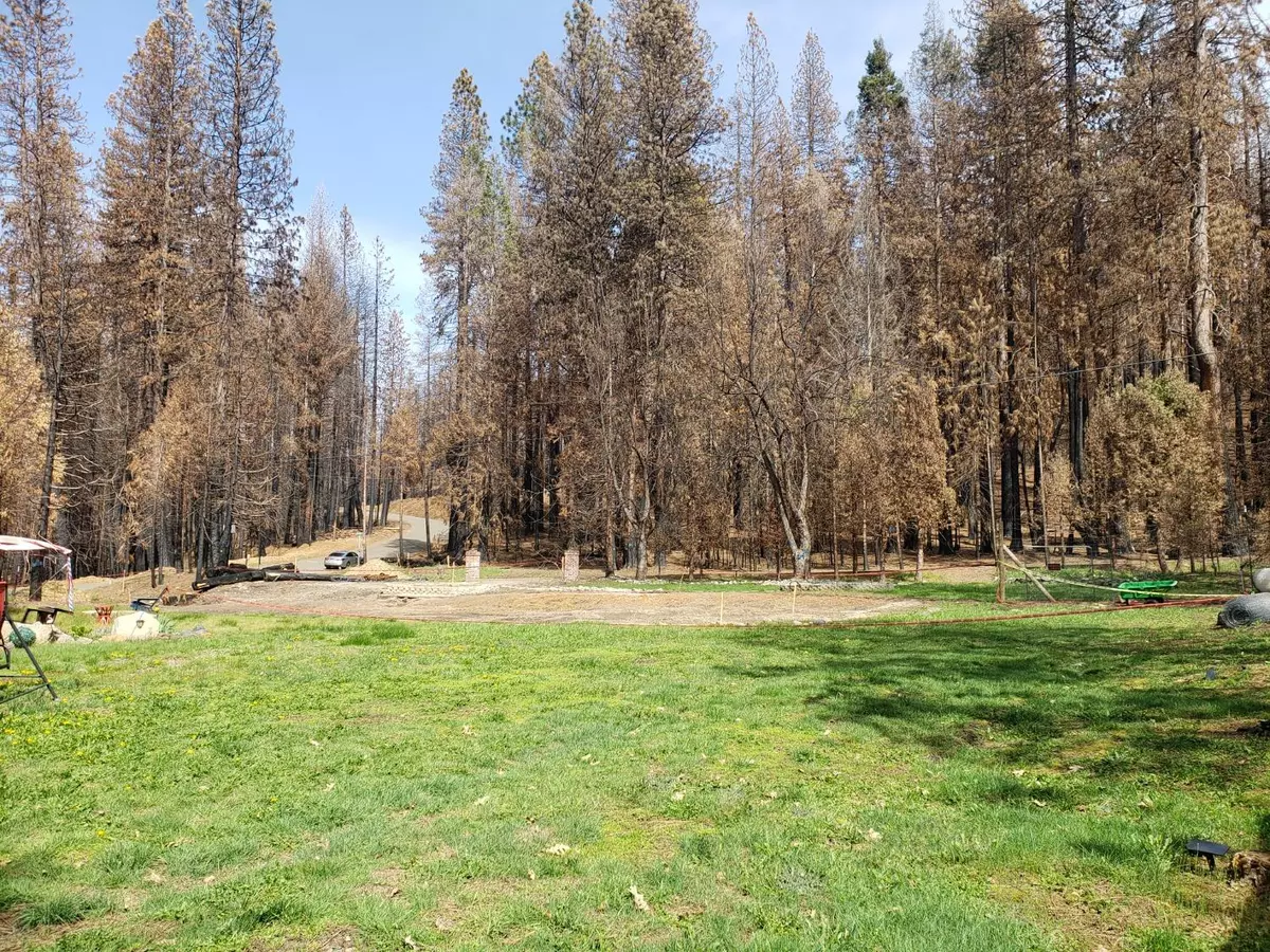 Grizzly Flats, CA 95636,4987 Parkside CT