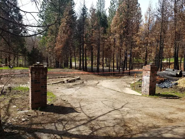 Grizzly Flats, CA 95636,4987 Parkside CT