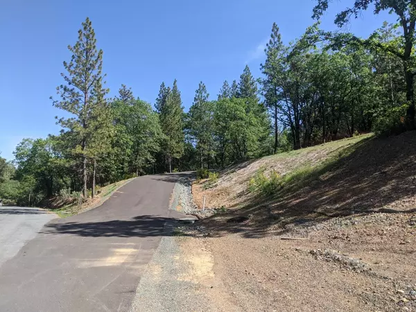 Colfax, CA 95713,4 Eden Forest Dr