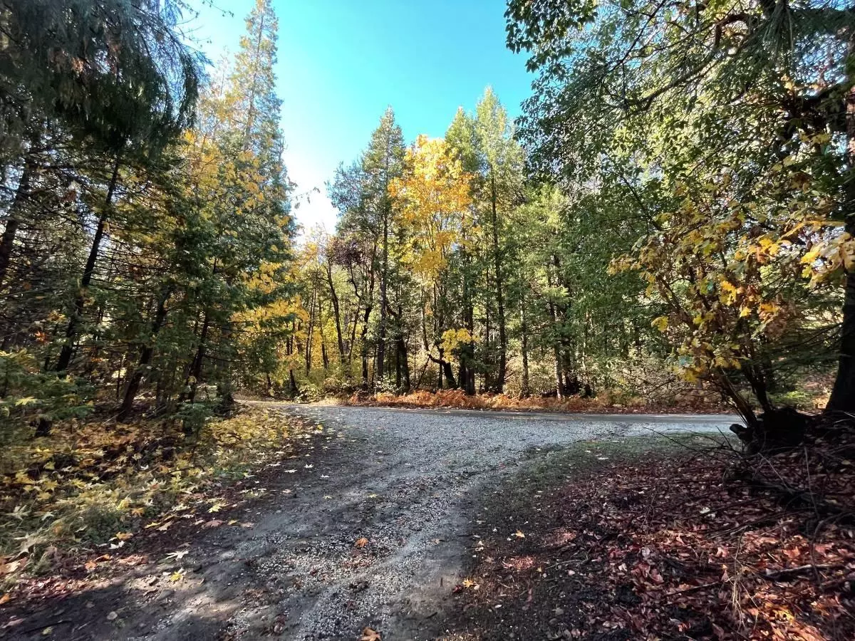 Nevada City, CA 95959,16405 Grizzly Ridge RD