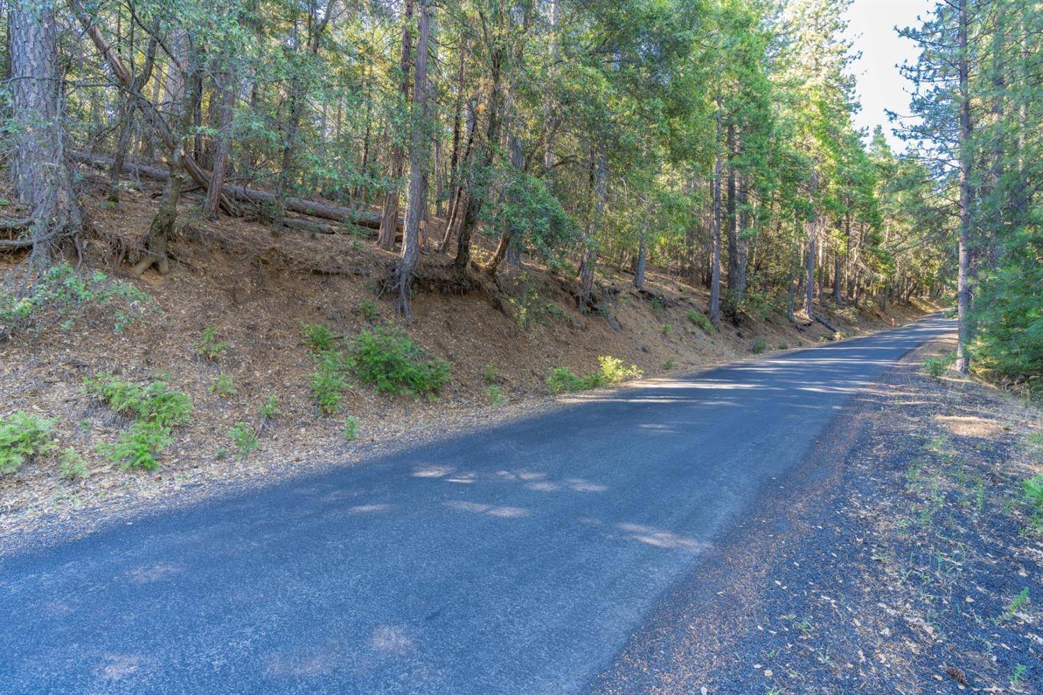 Volcano, CA 95689,19428 Ponderosa DR