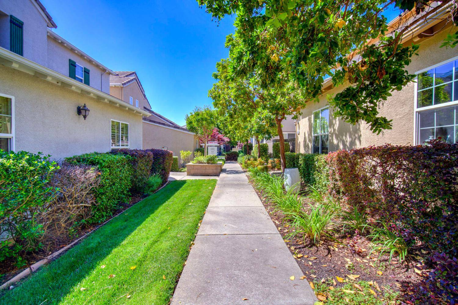 Orangevale, CA 95662,9037 Crescenda Lane
