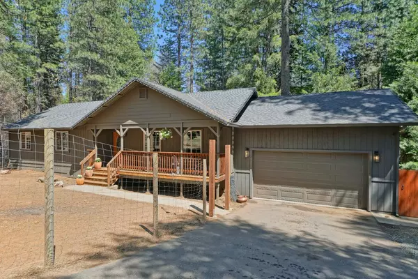 Grizzly Flats, CA 95636,5365 Blue Mountain DR