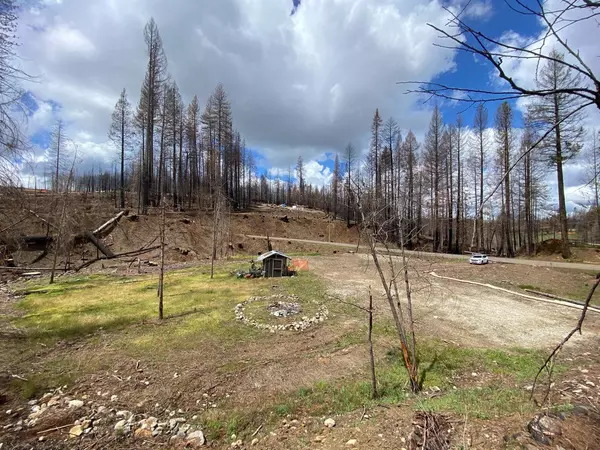 Grizzly Flats, CA 95636,6928 Tyler DR