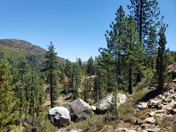 0 Cisco Grove, Emigrant Gap, CA 95715