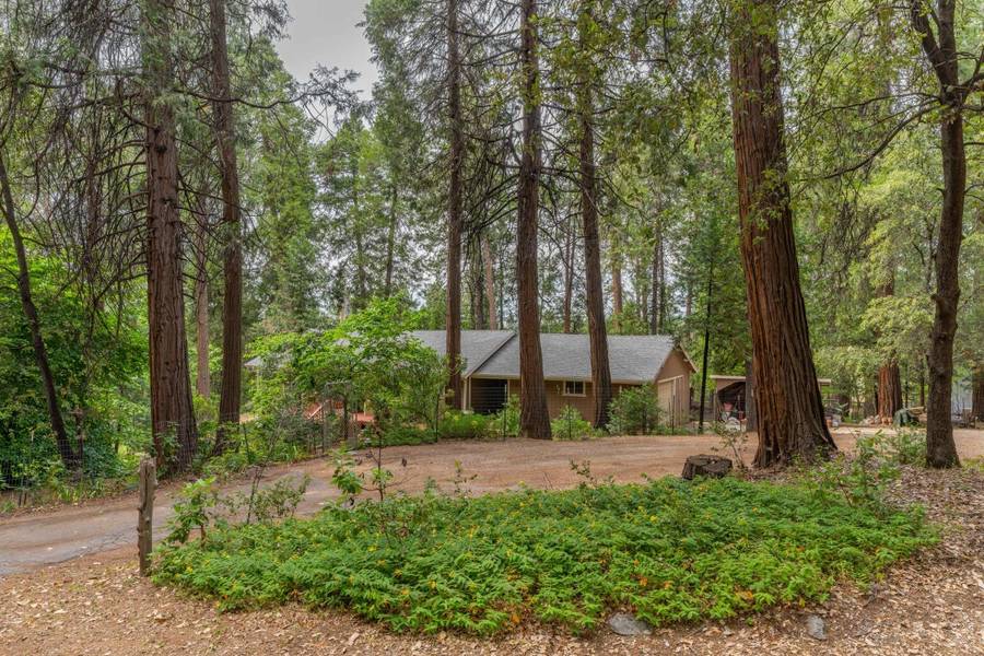 23435 Deer Lane, Pioneer, CA 95666