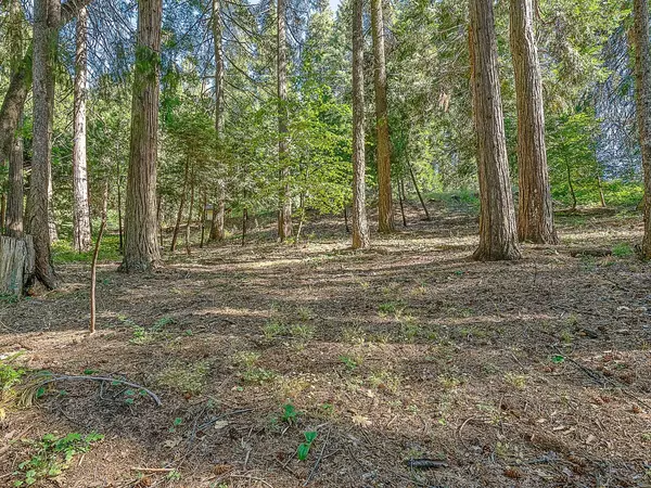 Pollock Pines, CA 95726,3916 Opal TRL