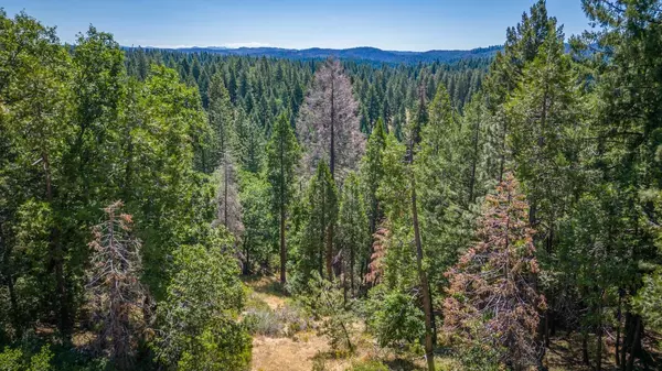 Pollock Pines, CA 95726,4131 Pearl