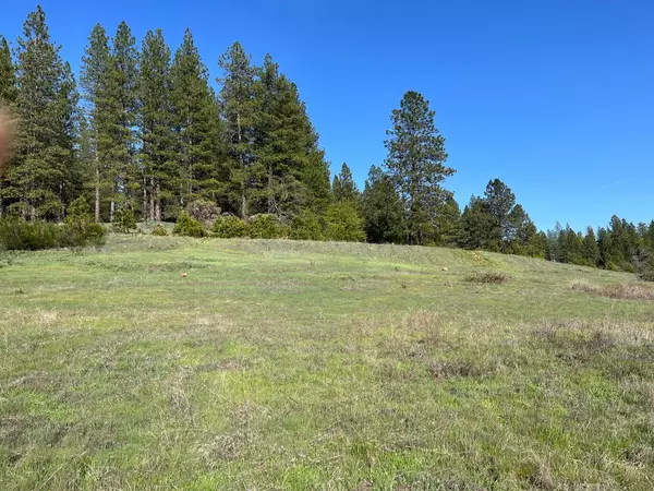 13550 Anna Ridge CT, Nevada City, CA 95959