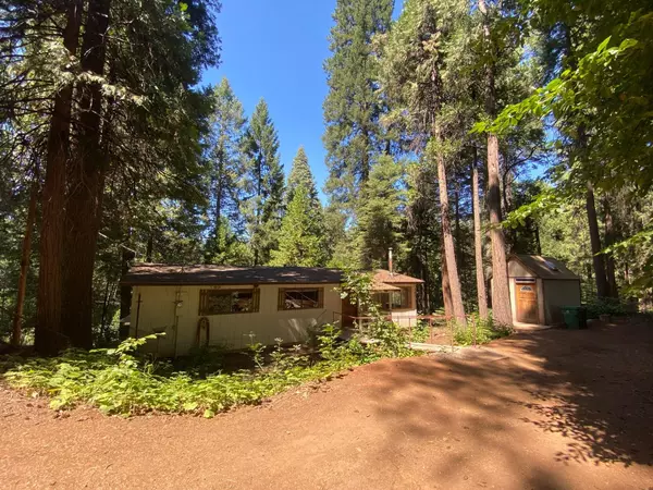 Pollock Pines, CA 95726,6682 Topaz DR