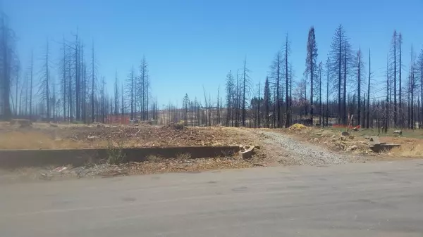 Grizzly Flats, CA 95636,4930 Deerwood DR