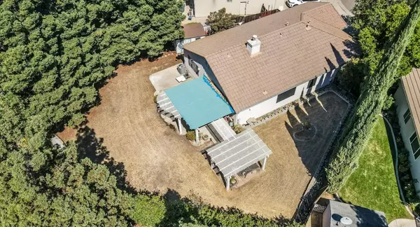 Gold River, CA 95670,2342 Pez Gallo PL