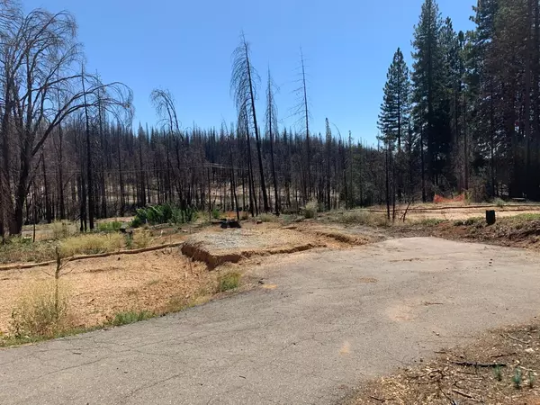 Grizzly Flats, CA 95636,5116 Deerwood DR