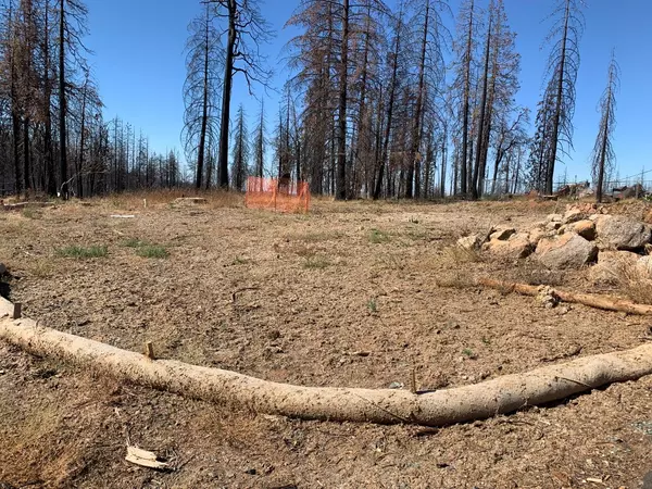 Grizzly Flats, CA 95636,6731 Tyler DR