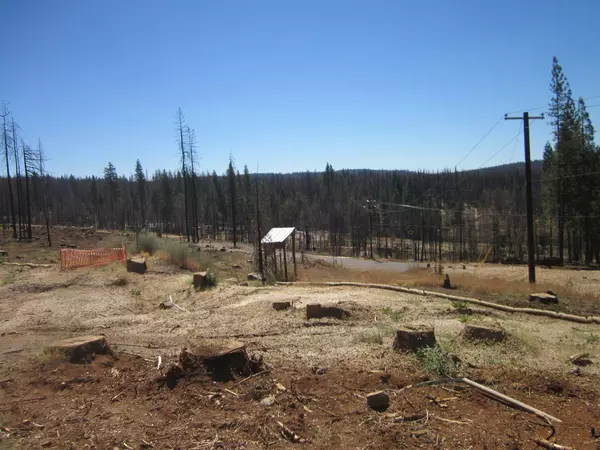 Grizzly Flats, CA 95636,4841 CYPRESS POINT DR