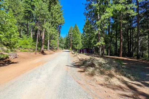 Pioneer, CA 95666,26700 High Trees DR