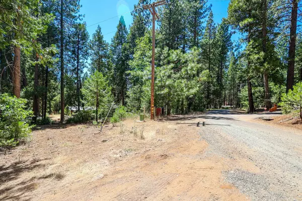 Pioneer, CA 95666,26700 High Trees DR