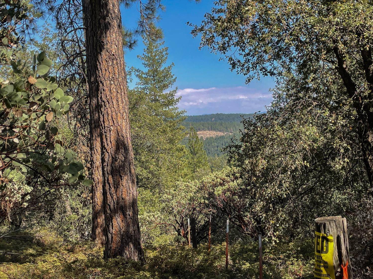 18644 Gold Creek TRL, Volcano, CA 95689