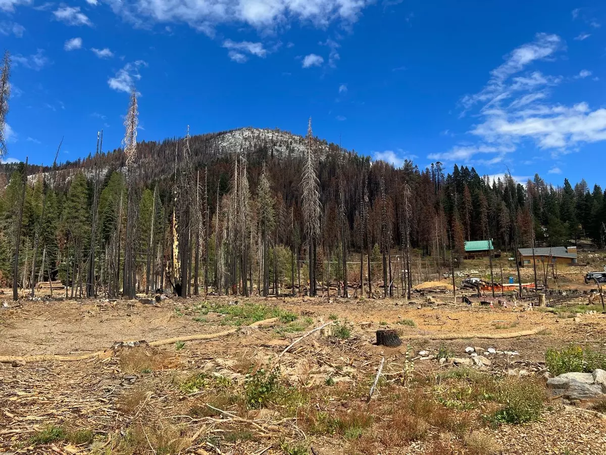 Twin Bridges, CA 95735,7141 Mt Ralston DR