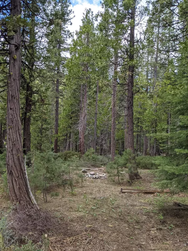 Emigrant Gap, CA 95715,4 .8 Acres Off the Grid