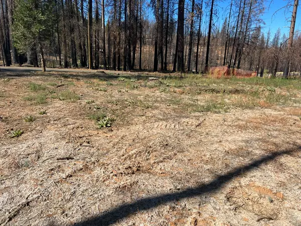 Grizzly Flats, CA 95636,5150 Wooded Glen RD