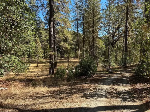 14821 Blind Shady RD, Nevada City, CA 95959