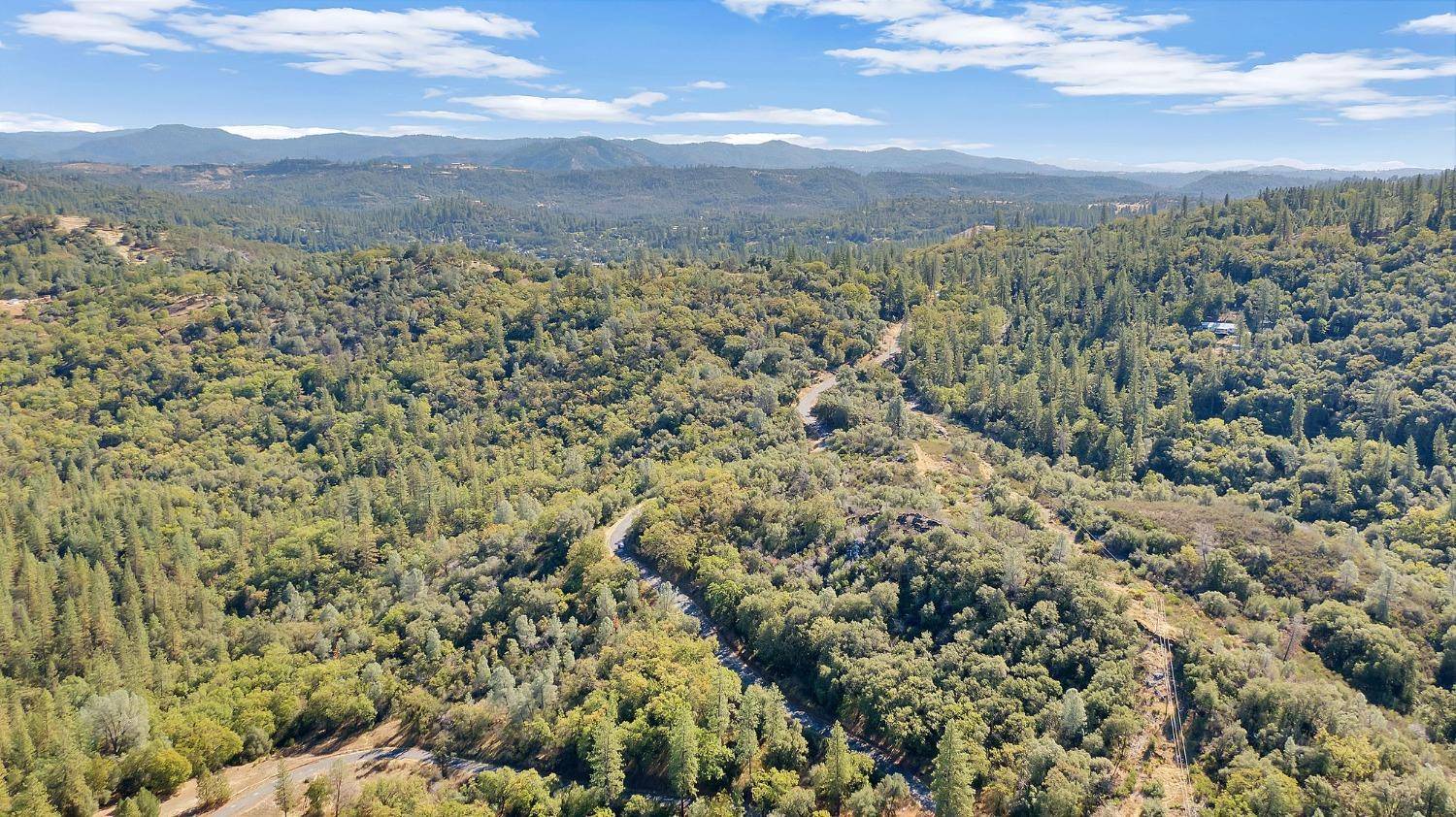 Murphys, CA 95247,1450 Sheep Ranch RD