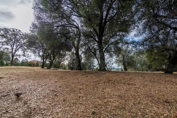 Auburn, CA 95602,Lot 133 Darkhorse DR