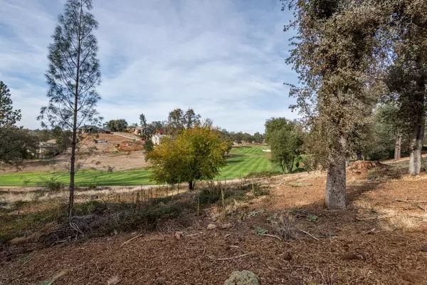 Auburn, CA 95602,Lot 75 Austin Forest CIR