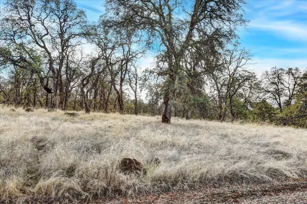 Browns Valley, CA 95918,2 Dry Oak CT