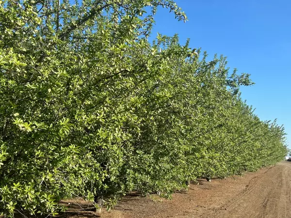 Dunnigan, CA 95937,0 Road 90