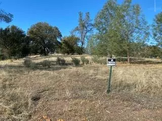 Copperopolis, CA 95228,560 Pinon DR