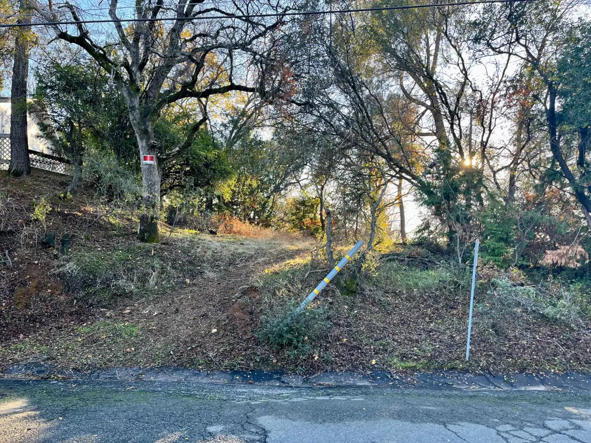 Auburn, CA 95603,163 Kenmass AVE