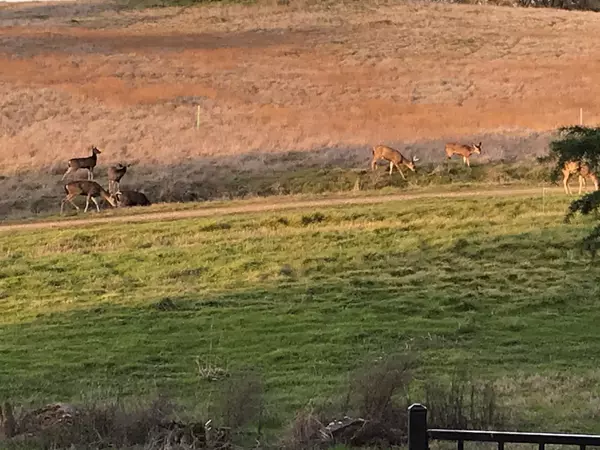 Rancho Murieta, CA 95683,Lot 45 Murieta Hills DR