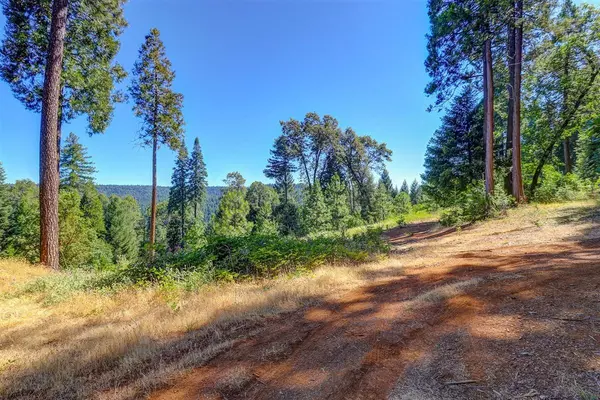 Nevada City, CA 95959,12192 Pasquale RD