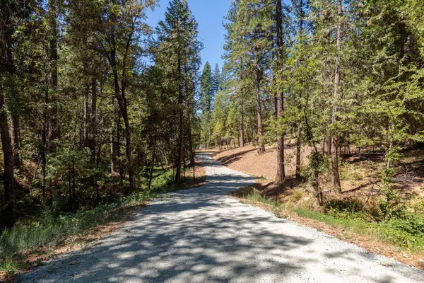 Nevada City, CA 95959,15148 Lewis RD